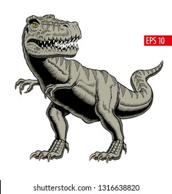 Tyrannosaurus rex or t rex isolated on white. Comic style vector illustration.