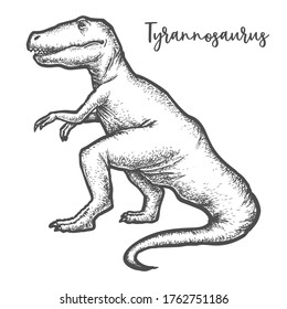 Tyrannosaurus rex or T-rex dinosaur sketch. Extinct prehistoric dino or jurassic predator reptile. Realistic cartoon monster. Vintage vector illustration. Paleontology and evolution, dangerous T. rex