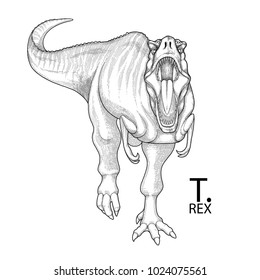 Tyrannosaurus Rex. Vector dinosaur isolated on white background. Animal of the prehistoric period in engraving technique. Coloring book page design