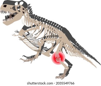 Tyrannosaurus skeleton cartoon with a painful expression caused by joint pain on its knee. World Arthritis Day. Cartoon vector illustration. Isolated.