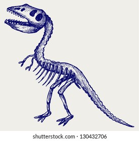 Tyrannosaurus skeleton. Doodle style