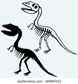 Tyrannosaurus skeleton. Isolated on blue background. Vector silhouettes