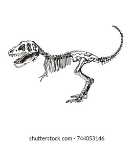 Tyrannosaurus Skeleton Silhouette in sketch style.