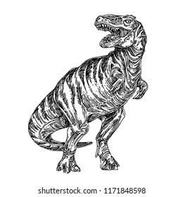 Tyrannosaurus. Sketch. Engraving style. Vector illustration