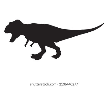 Tyrannosaurus T-rex     , dinosaur on isolated background .