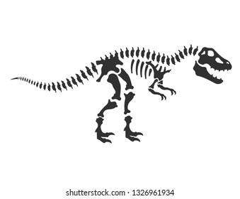 Tyrannosaurus, T-Rex, dinosaur skeleton. reptile bones, Isolated vector illustration