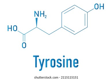 Tyrosine or l-tyrosine, Tyr, Y, amino acid molecule. Skeletal formula.