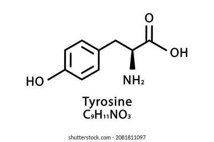 Tyrosine molecular structure. L-Tyrosine skeletal chemical formula. Chemical molecular formula vector illustration