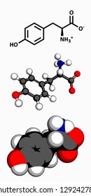 Tyrosine (Tyr, Y) amino acid, molecular model. Amino acids are the building blocks of all proteins. Atoms are represented as spheres with conventional color coding: hydrogen (white), etc