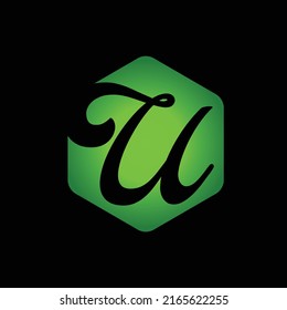Imagen vectorial del logotipo inicial del haxagon verde