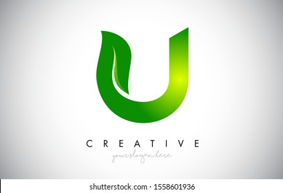 U Leaf Letter Logo Icon Design in Green Colors. Eco Bio Letter Design Vector Illustration.