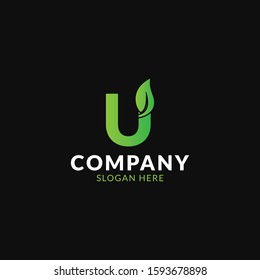 U Leaf Letter Logo Icon Design in Green Colors. Eco Bio Letter Design Vector Illustration.