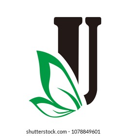 u and leaf letter vector logo