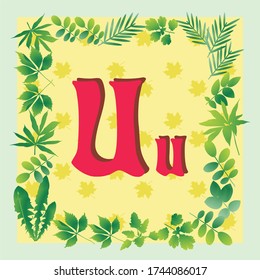 u letter alphabet with a frame of green leaves
