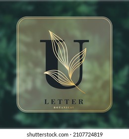 U letter banner. Minimalism design. Botanical background. Wedding monogram. Graphic alphabet symbol for corporate business identity. Vector line icon for Business and Advertising.