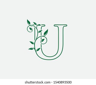 U Letter. Green Leaf Letter U Logo Vector,  Eco Bio Leaf Letter Icon Illustration Logo.