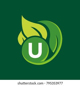 U letter leaf logo design