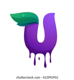 U letter logo with blueberry juice drops and leaves. Vector design template elements for your application or corporate identity.