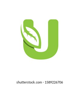 U Letter logo leaf concept template design