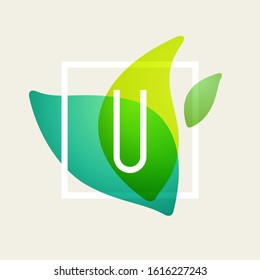 U letter logo in square frame at green leaves watercolor background. Vector ecology typeface for botanical labels, floral headlines, recycle posters, organic cards etc.