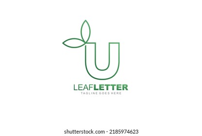 U logo leaf for identity. nature template vector illustration for your brand.