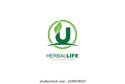 U logo leaf for identity. nature template vector illustration for your brand.