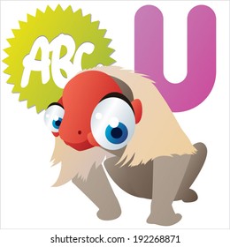 U Is For Uakari