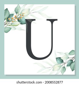 U - Watercolor delicate alphabet with green leaf.