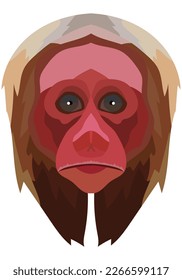 uakari face. The muzzle of a Cacajao monkey is depicted. Bright portrait on a white background. predictive graphics. animal logo.