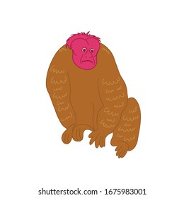 Uakari monkey. The character. Vector illustration.