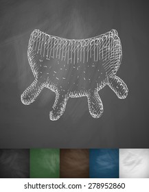 udder icon. Hand drawn vector illustration. Chalkboard Design