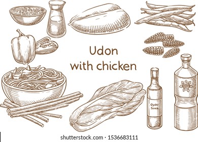 Сhicken udon. Japanese food.Ingredients. Vector sketch