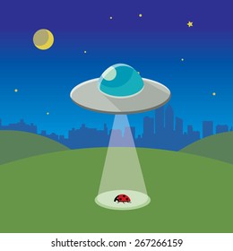 ufo abducting ladybug, spaceship in night landscape 