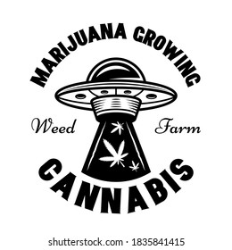 Ufo stealing marijuana leaves vector emblem, badge, label or logo for cannabis growing company. Illustration in vintage monochrome style isolated on white background