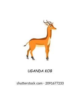 Uganda Kob. African animal. Vector illustration isolated on white background.