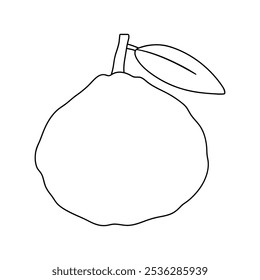 Ugli Fruit coloring pages for kids. Trace and color Ugli Fruit. Ugli Fruit Flashcard for kids. Ugli Fruit isolated on white background. Kindergarten and preschool worksheets printable for kids. 