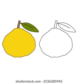 Ugli Fruit colorir páginas para crianças. Rastrear e colorir Ugli Fruit. Ugli Fruit Flashcard para crianças. Ugli Fruit isolado em fundo branco. Planilhas de jardim de infância e pré-escola imprimíveis para crianças. 