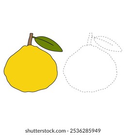 Ugli Fruit coloring pages for kids. Trace and color Ugli Fruit. Ugli Fruit Flashcard for kids. Ugli Fruit isolated on white background. Kindergarten and preschool worksheets printable for kids. 