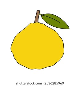 Ugli Fruit coloring pages for kids. Trace and color Ugli Fruit. Ugli Fruit Flashcard for kids. Ugli Fruit isolated on white background. Kindergarten and preschool worksheets printable for kids. 