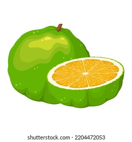 Ugli fruit on a white background. Cartoon design.