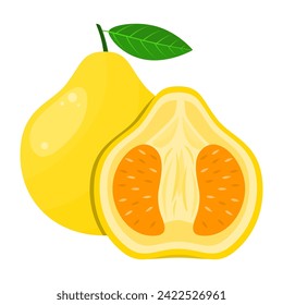 Ugli fruit is a fruit that has a refreshing sweet, sour, slightly bitter taste. This fruit can grow in tropical and subtropical climates
