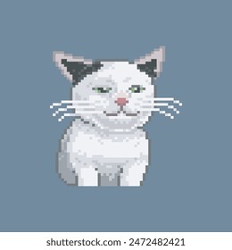 Ugly cat, pixel art meme