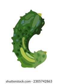 Ugly cucumber. Imperfect vegetable. Vector isolated illustration. Ugly food.