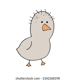 ugly duck illustration