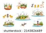 Ugly duckling fairy tale. Duckling is born into family of geese cartoon vector illustration