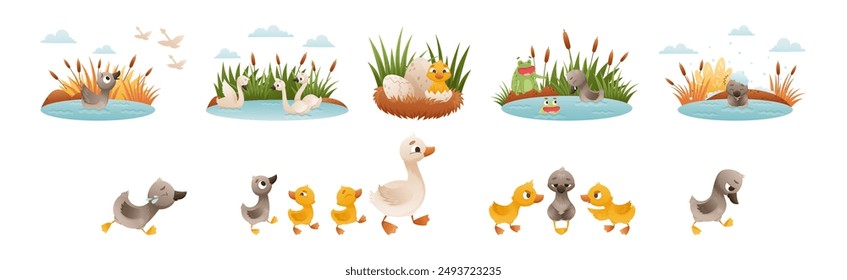 Ugly Duckling Fairy Tale with Little Birdie Vector Set