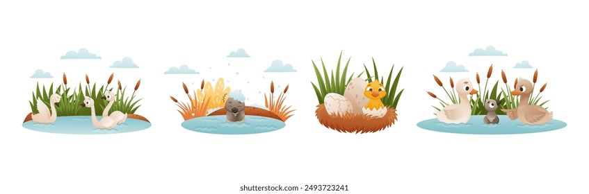 Ugly Duckling Fairy Tale with Little Birdie Vector Set