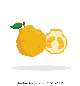 ugly fruit vector illustration