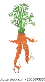 Ugly imperfect carrot. Vector isolated illustration. Realness concept.