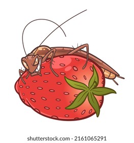 Ugly smiling cockroach sitting on strawberry. Pests problem illustration.